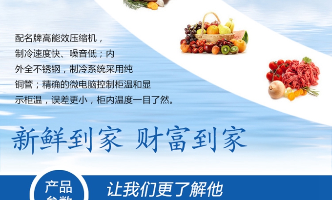  冰柜價格 